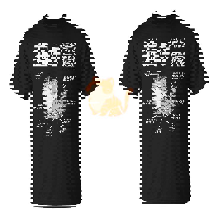 猫のなでかた解説 おもしろ 猫好き アイデア ギフト サプライズ にゃんこ おもしろ Tシャツ