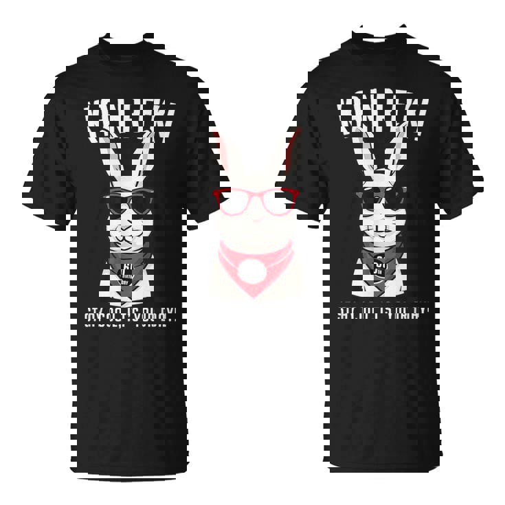 還暦祝い 兎 うさぎ好き 干支 父 男性 女性 還暦 お祝い 60歳 おもしろ おもろい Tシャツ