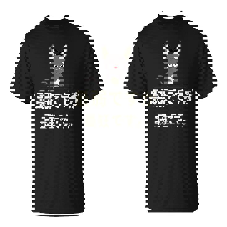 面白い 猫 文字入り 「最弱ですが最狂です。」おもしろギャグ-ジョーク 漢字 最弱ですが最狂です。 Tシャツ