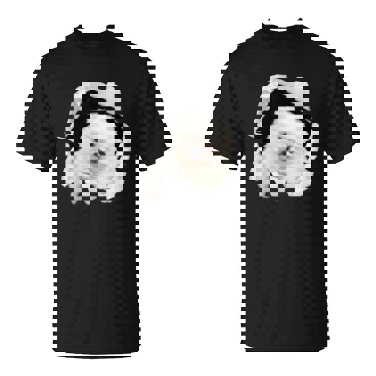 面白いtシャツ 犬 ポメラニアン イヌ わんこ メンズ 犬好き グッズ かわいい おもしろ 面白い 服 ネタ Tシャツ