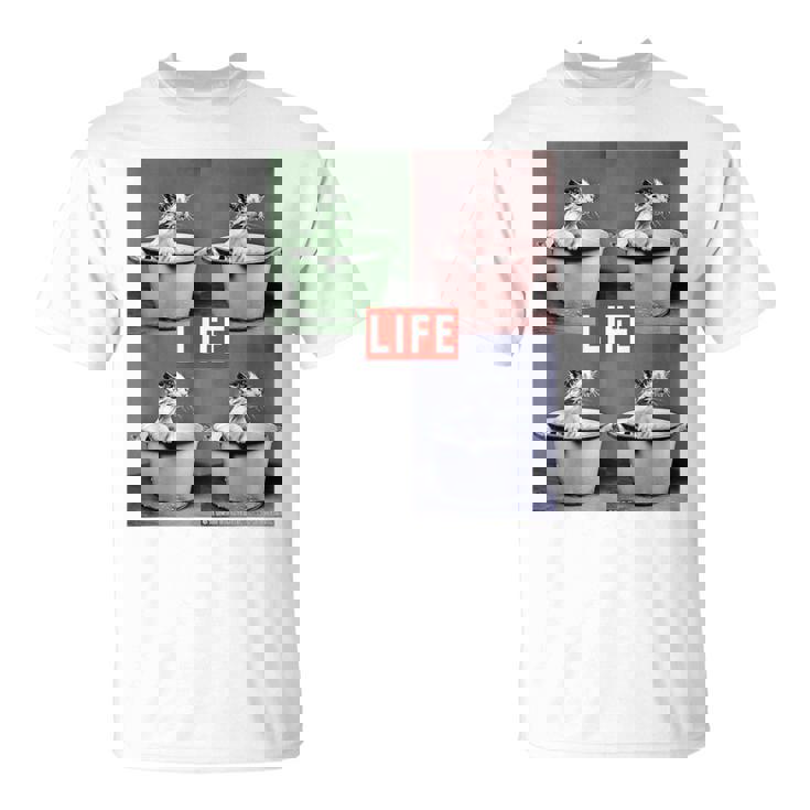 Life Picture Collection 猫（1） Tシャツ