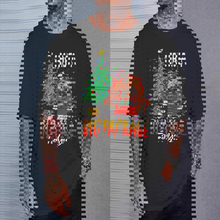 C'est Drôle J'ai Un Gros Colis Pour Toiilain Gros Gars Noir T-Shirt Cadeaux pour lui