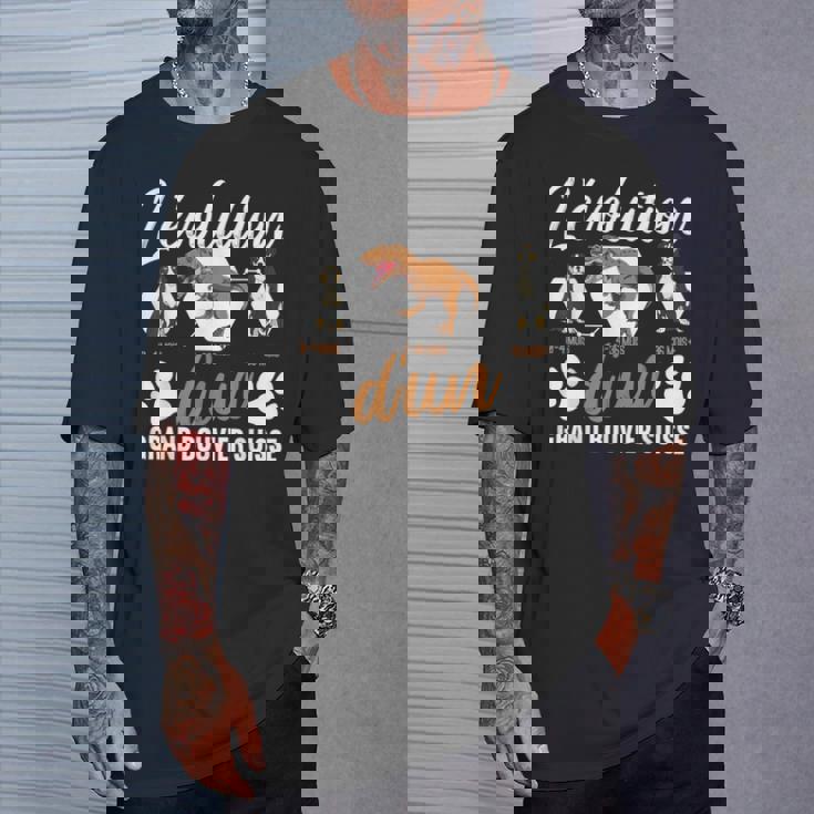 L'évolution D'un Grand Bouvieruisse T-Shirt Cadeaux pour lui