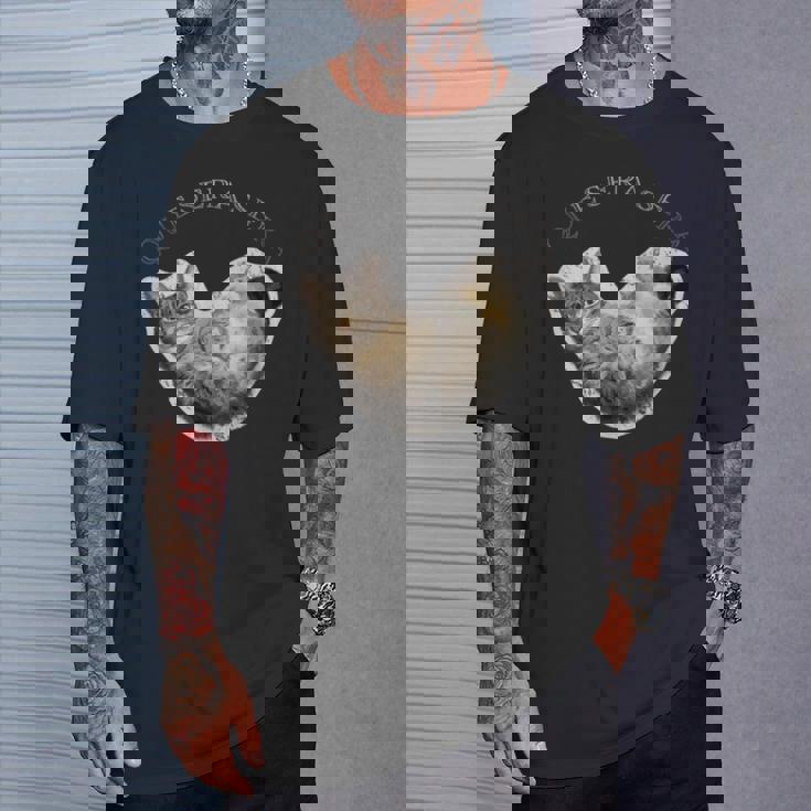 Lying Cat Tシャツ 彼への贈り物