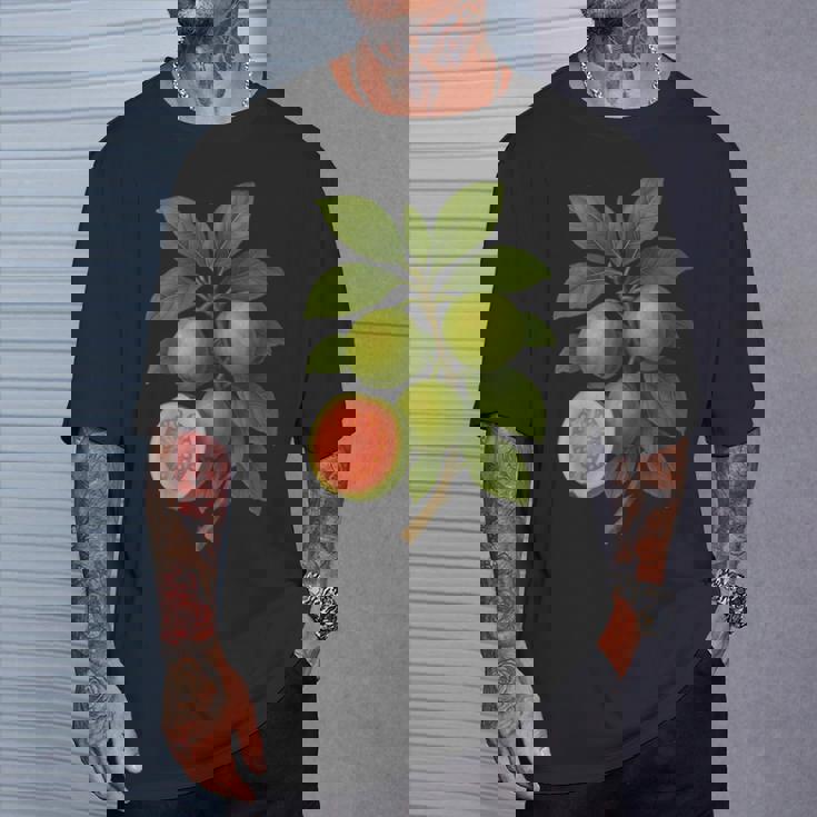 ヴィンテージ ボタニカル グアバ 自然 フルーツ アートプリント Tシャツ 彼への贈り物