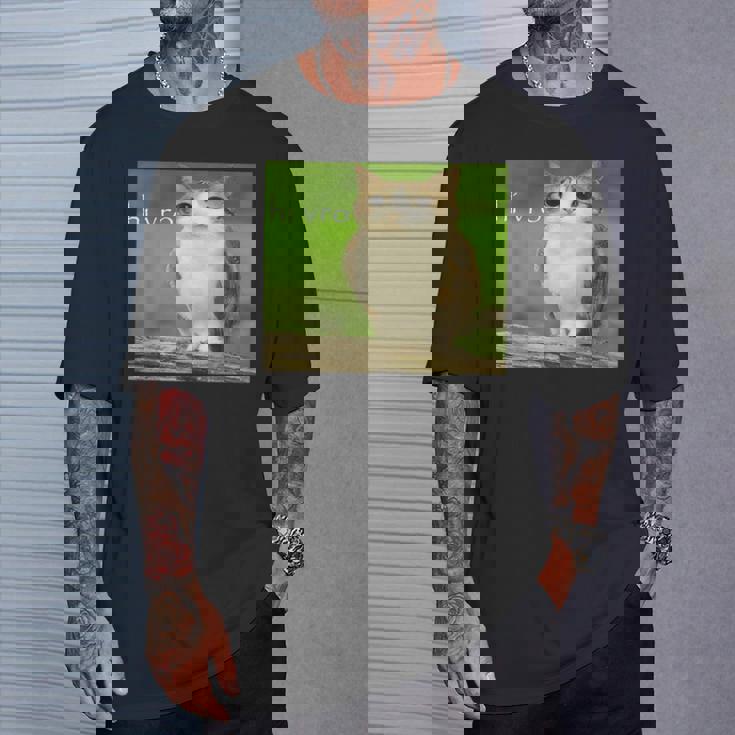 猫 フクロウ 面白い 呪われた Hello Bro Brainrot Meowl Hiro Meme Tシャツ 彼への贈り物