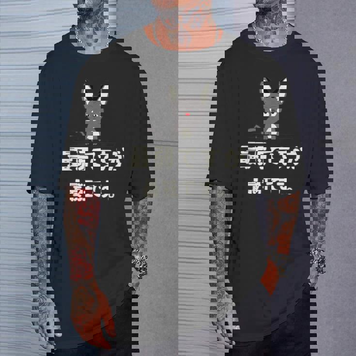 面白い 猫 文字入り 「最弱ですが最狂です。」おもしろギャグ-ジョーク 漢字 最弱ですが最狂です。 Tシャツ 彼への贈り物