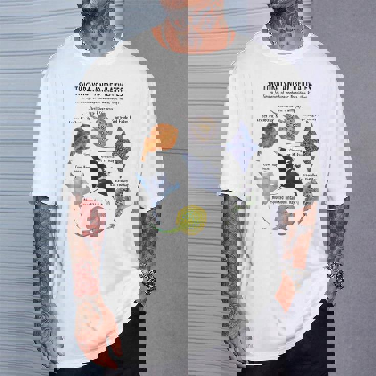 アカエイ種 Tシャツ 彼への贈り物