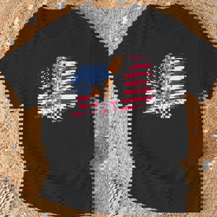 Beagle 長袖tシャツ Tシャツ 高齢者への贈り物