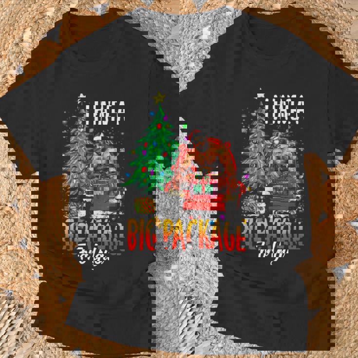 C'est Drôle J'ai Un Gros Colis Pour Toiilain Gros Gars Noir T-Shirt Cadeaux pour les vieillards