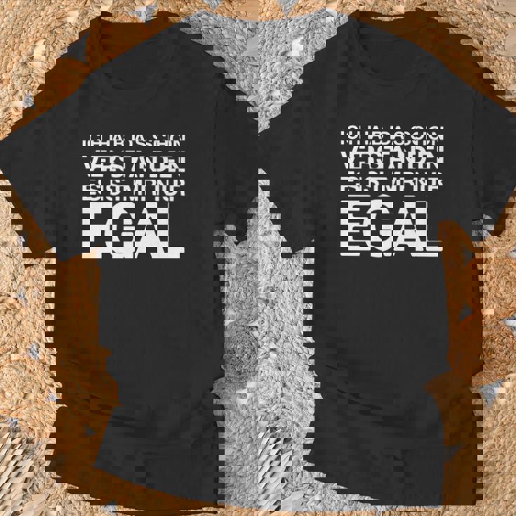 Ich Hab Daschonerstanden 面白いドイツ語の言葉 長袖tシャツ Tシャツ 高齢者への贈り物