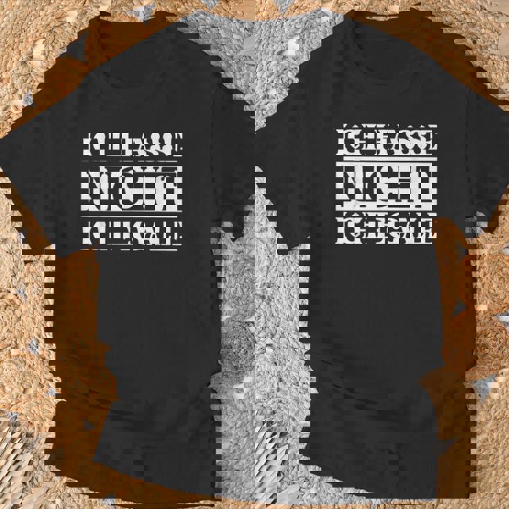 Ich Hasse Nicht Ich Egale ドイツ語のジョーク Tシャツ 高齢者への贈り物