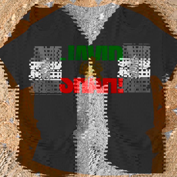 Javidhah イラン国旗 ペルシャパフラヴィー ライオンと太陽 長袖tシャツ Tシャツ 高齢者への贈り物