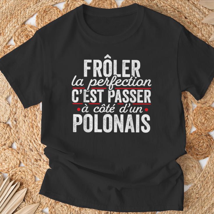 Le Polonais Parfait Cadeau Humour Pologne T-Shirt Cadeaux pour les vieillards
