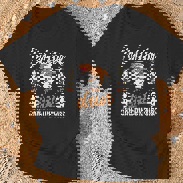 L'évolution D'un Grand Bouvieruisse T-Shirt Cadeaux pour les vieillards