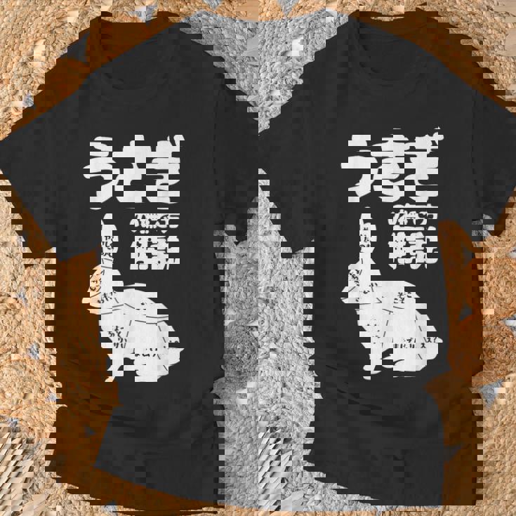 うさぎの撫で方解説 ウサギ好き うさぎ好き うさぎの飼い主 ウサギ飼い おもしろ うさぎ 兎 Tシャツ 高齢者への贈り物