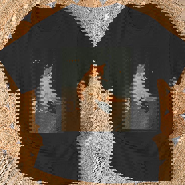 おもしろタバコ 子猫 喫煙 バカ ミーム ブレイン Tシャツ 高齢者への贈り物