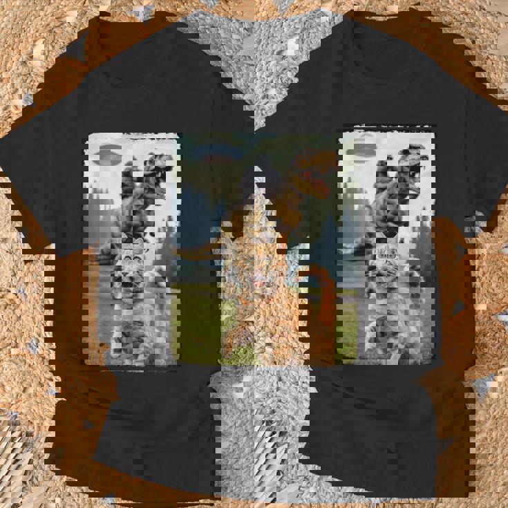 おもしろ猫 ゴリラ 恐竜 Ufo ミーム 不条理なユーモアシーン Tシャツ 高齢者への贈り物