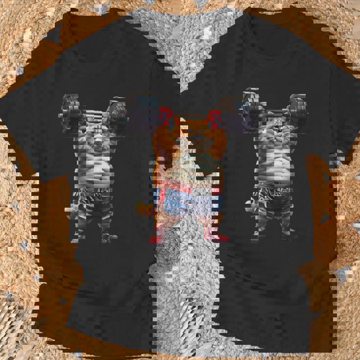 ギャグ ぽっちゃり猫 筋トレ ウエイトリフティング ジム 面白い グラフィック猫ミーム Tシャツ 高齢者への贈り物
