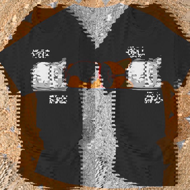 やる気はあるんすよ コーギー犬 ジョーク かわいい 動物ギャグ好き おもしろ ネタ Tシャツ 高齢者への贈り物