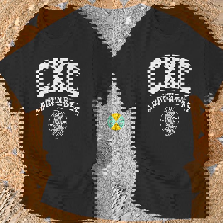 アカデミックハードウェア Tシャツ 高齢者への贈り物