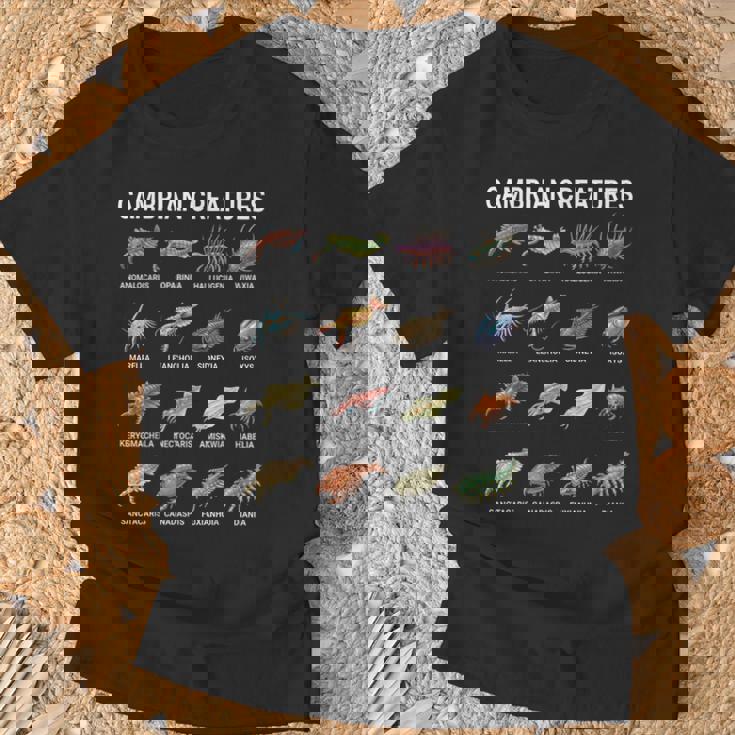 カンブリア紀の生き物チャート–先史時代の海洋生物アート Tシャツ 高齢者への贈り物