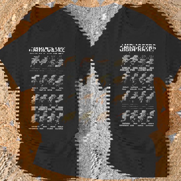 カンブリア紀の生き物チャート先史時代の生活古生物学 Tシャツ 高齢者への贈り物