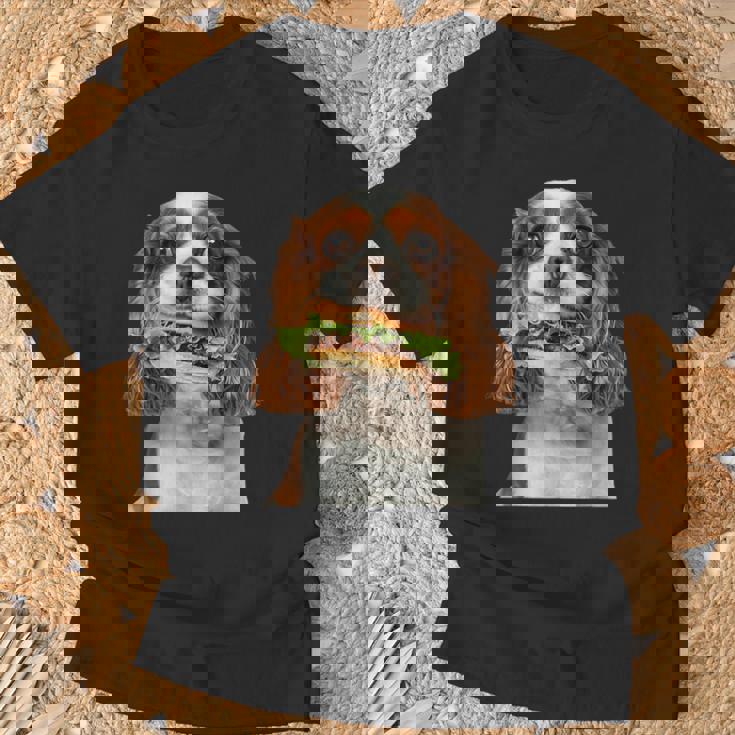 キャバリア・キング・チャールズ・スパニエル・バーガー Tシャツ 高齢者への贈り物