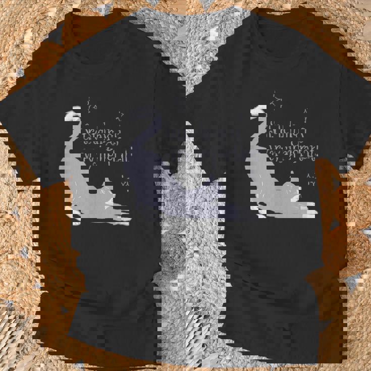 ストレッチは大事！ 猫 ネコ 愛猫 伸び 柔軟 ハチワレ 靴下猫 シンプル かわいい 癒やし メンズ レディース キッズ Tシャツ 高齢者への贈り物