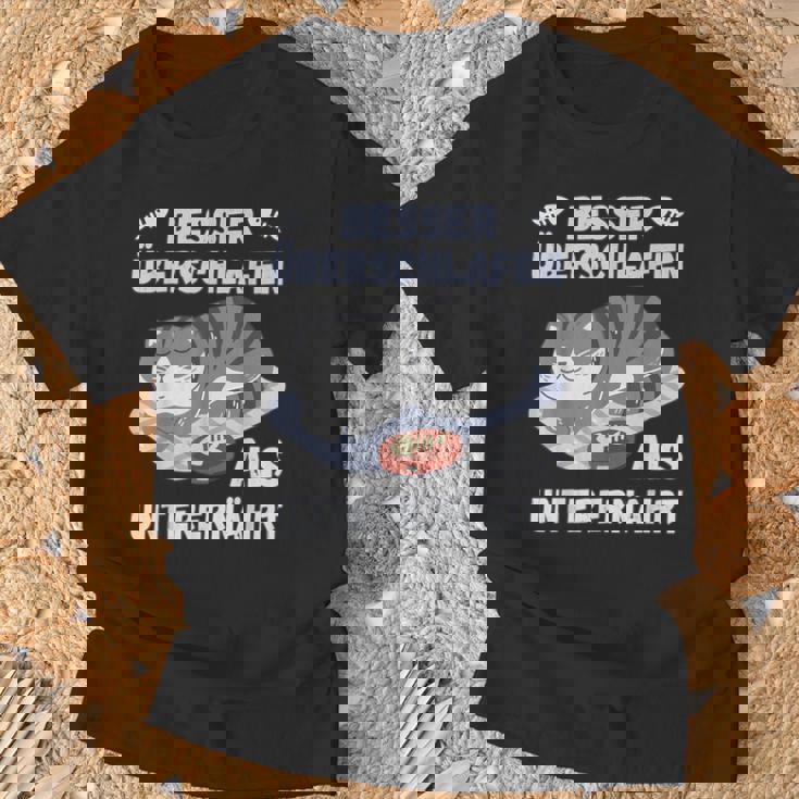 スリープシャツ猫、面白い、ドイツ語で Tシャツ 高齢者への贈り物