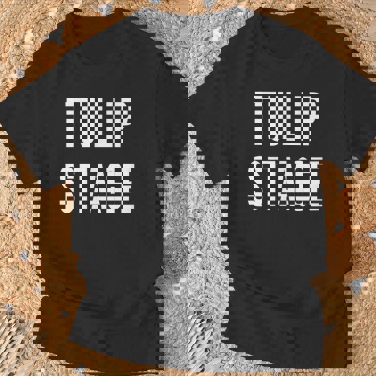 チューリップステージ Tシャツ 高齢者への贈り物