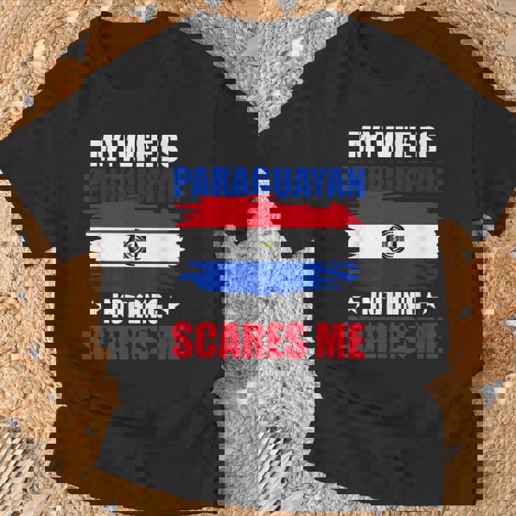 パラグアイ国旗 パラグアイ遺産 Tシャツ 高齢者への贈り物