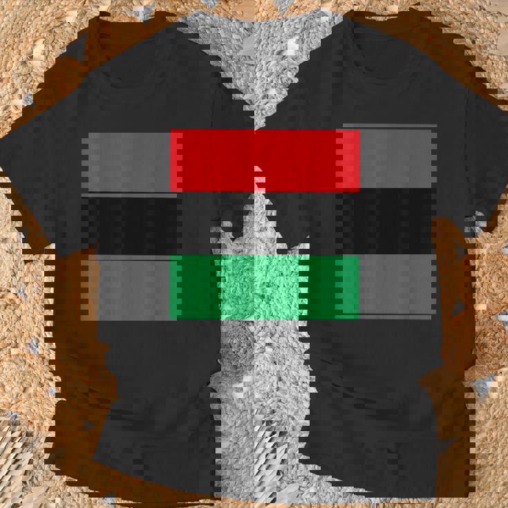 パンアフリカ国旗tシャツ Tシャツ 高齢者への贈り物