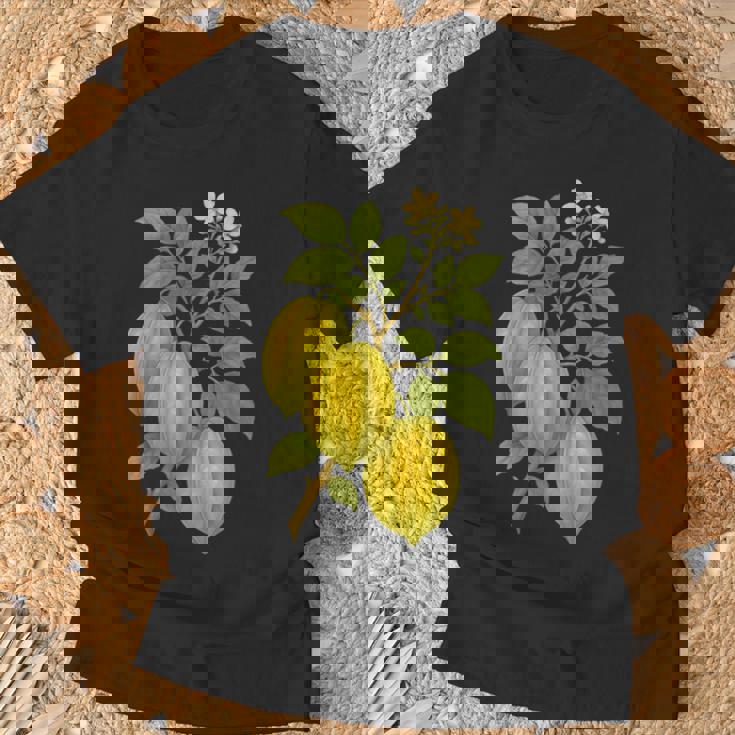 ビンテージ ボタニカル スターフルーツ 自然 アートプリント Tシャツ 高齢者への贈り物