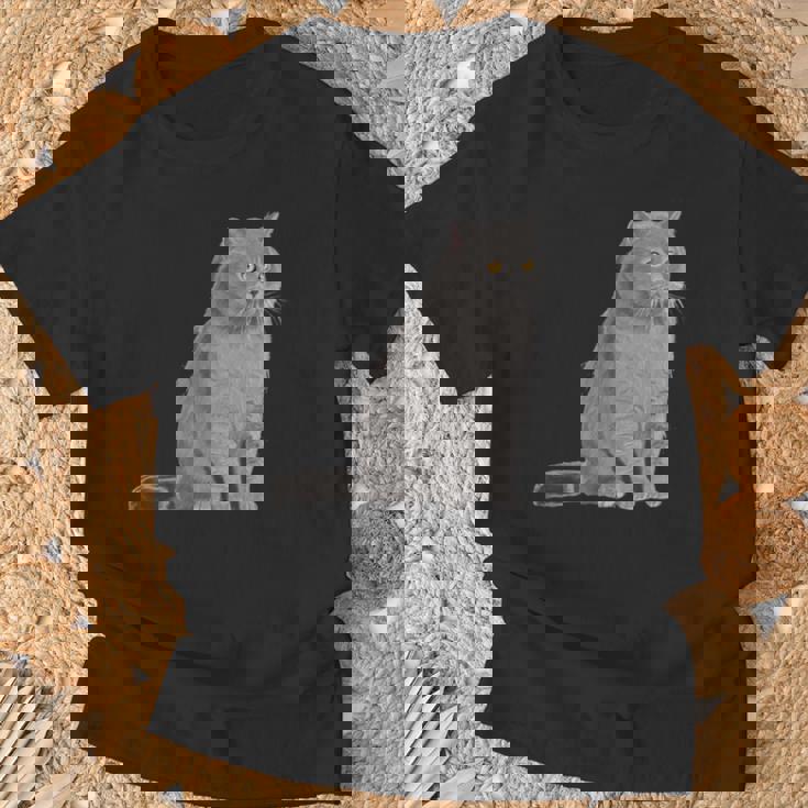 ブリティッシュショートヘアの猫 長袖tシャツ Tシャツ 高齢者への贈り物