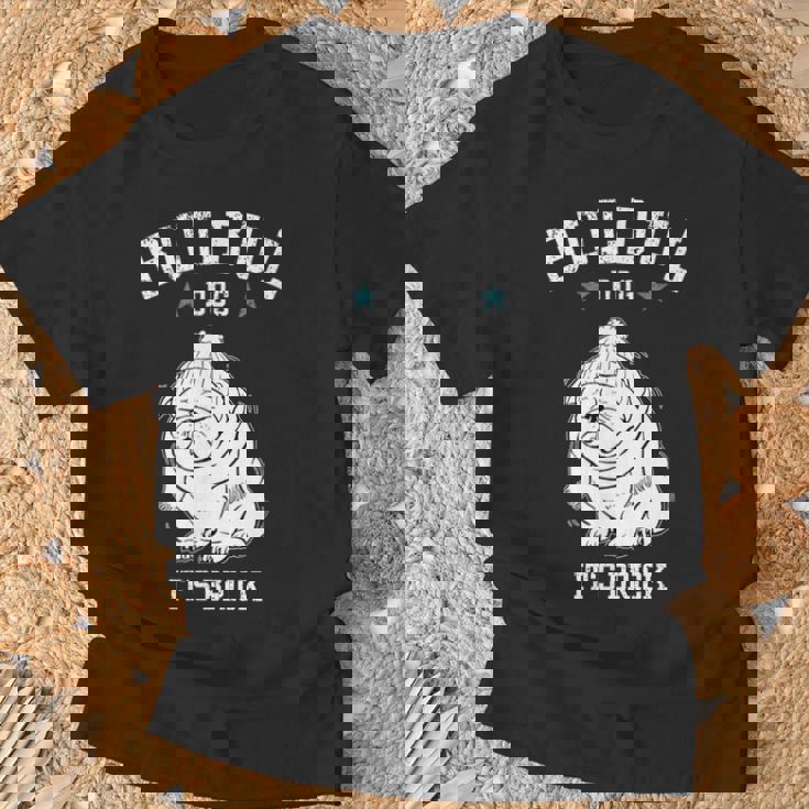 ブルブルドッグ Tシャツ 高齢者への贈り物