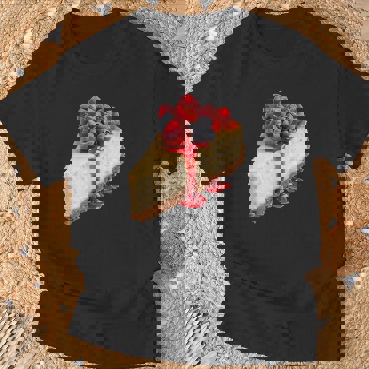 ベリー入りチーズケーキ Tシャツ 高齢者への贈り物