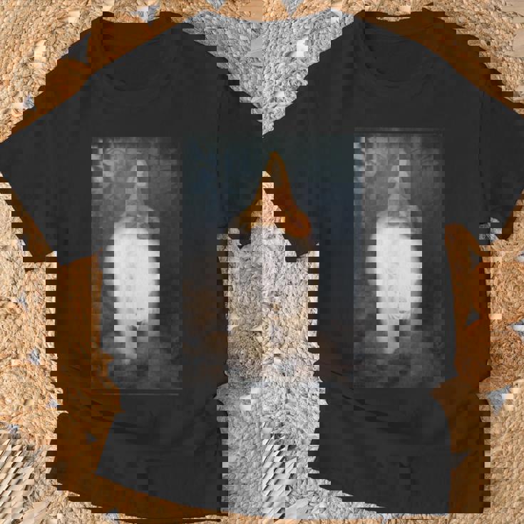 ホワイトベア王 ヴァレモン テオドール・キッテルセン ロマン主義アート Tシャツ 高齢者への贈り物