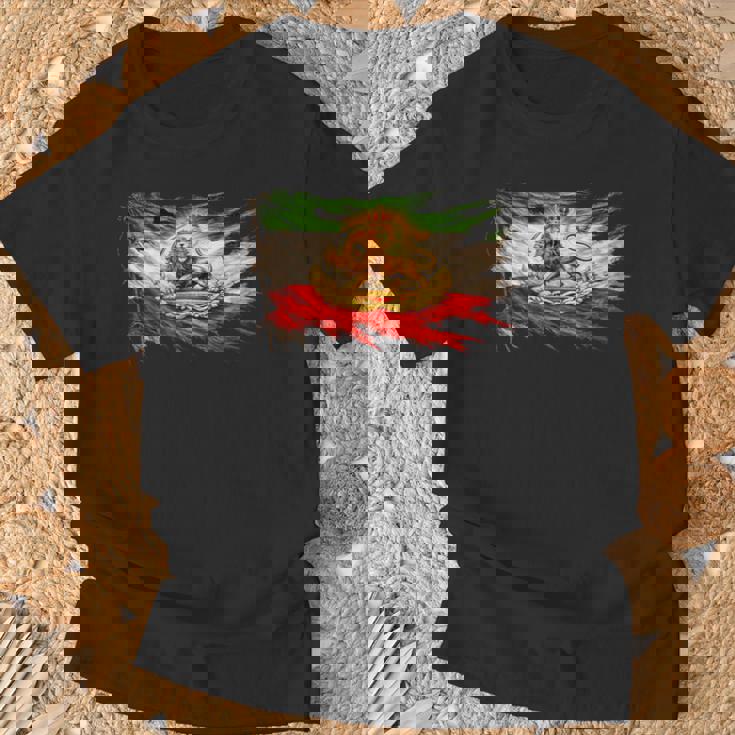 ライオンと太陽のエンブレムが付いたイランの国旗、ヴィンテージペルシャ遺産。 Tシャツ 高齢者への贈り物