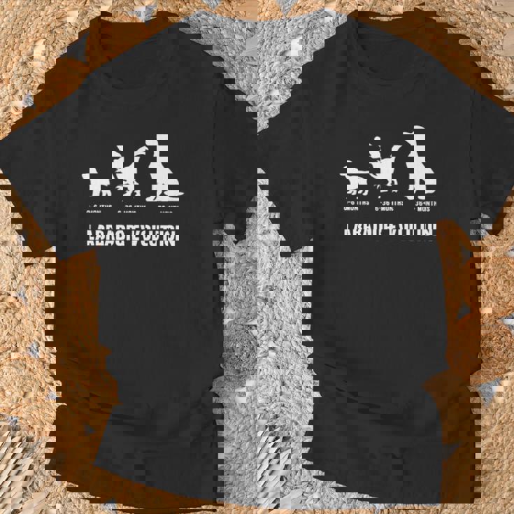 ラブラドールレトリバー エボリューションデザイン ラブラドールオーナー向け 長袖tシャツ Tシャツ 高齢者への贈り物