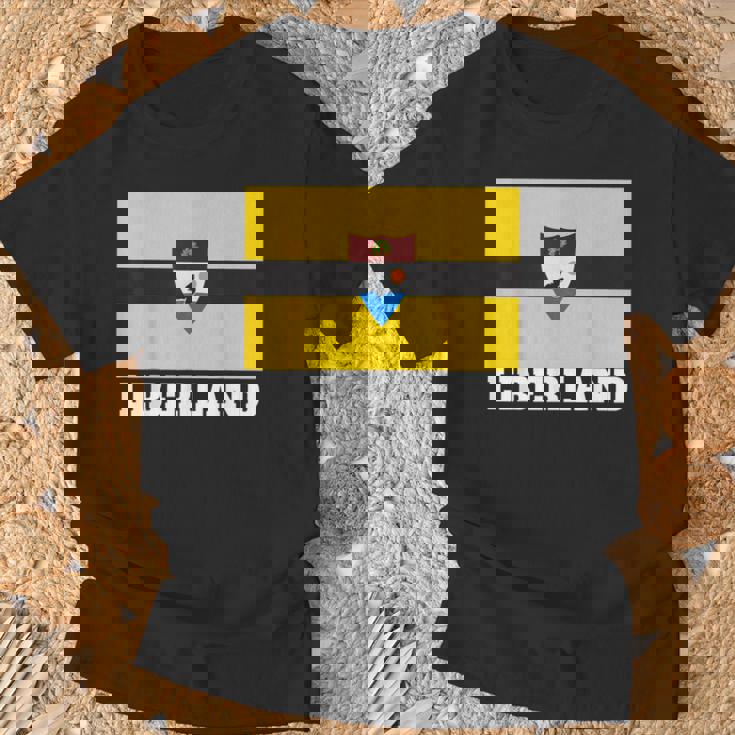 リベルランド Tシャツ 高齢者への贈り物