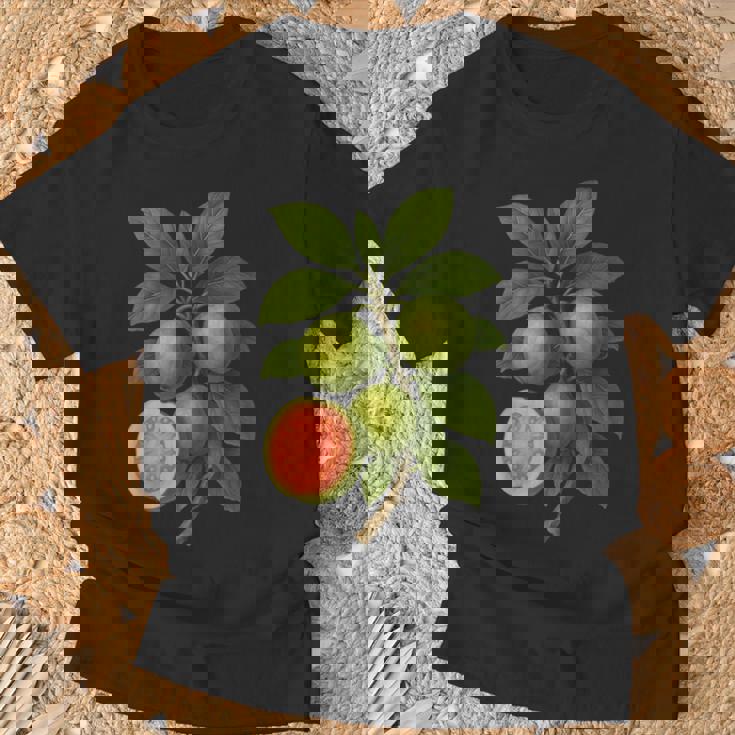 ヴィンテージ ボタニカル グアバ 自然 フルーツ アートプリント Tシャツ 高齢者への贈り物
