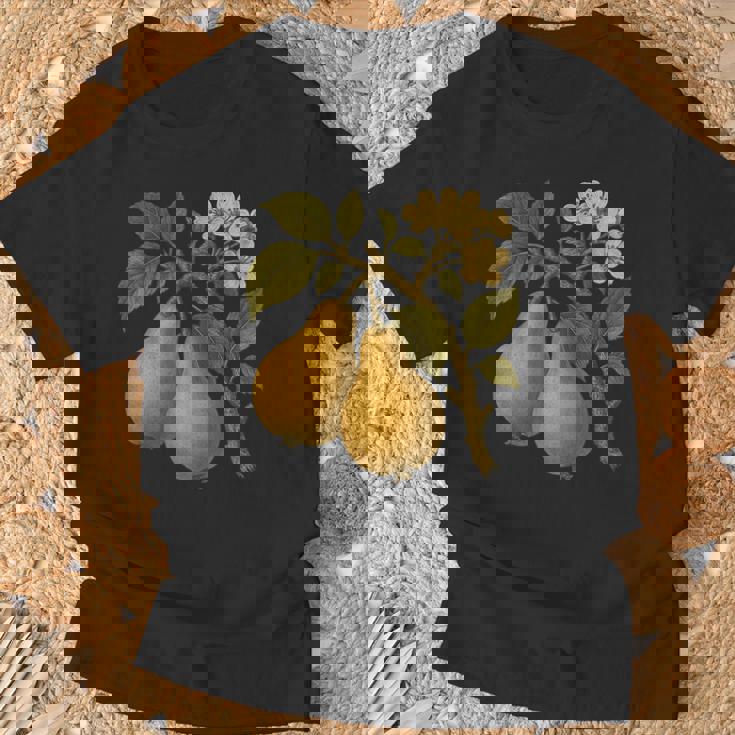 ヴィンテージボタニカル梨アートプリント Tシャツ 高齢者への贈り物