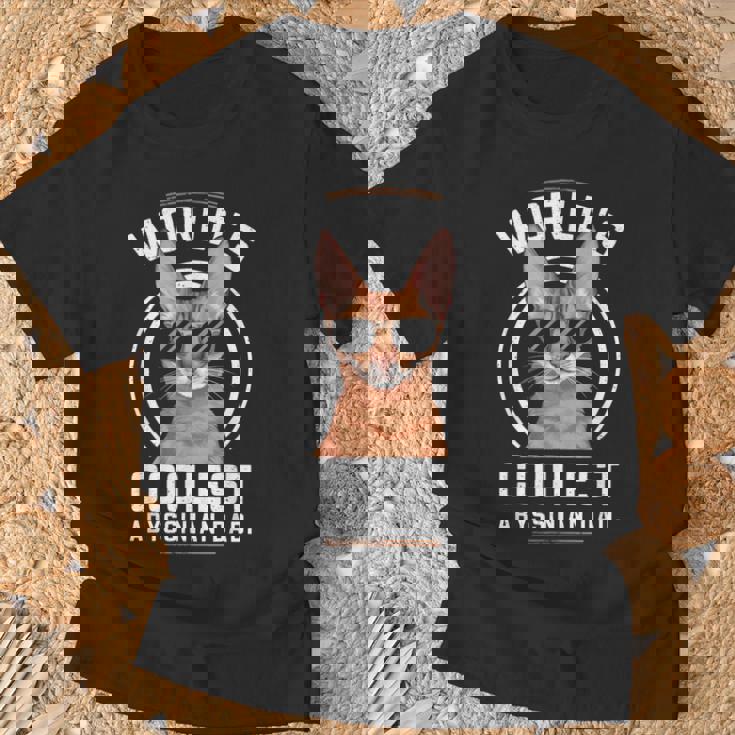 世界で最もクールなアビシニアンパパ Tシャツ 高齢者への贈り物