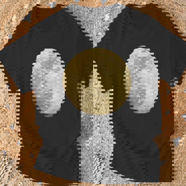 満月 夜空 月 Tシャツ 高齢者への贈り物