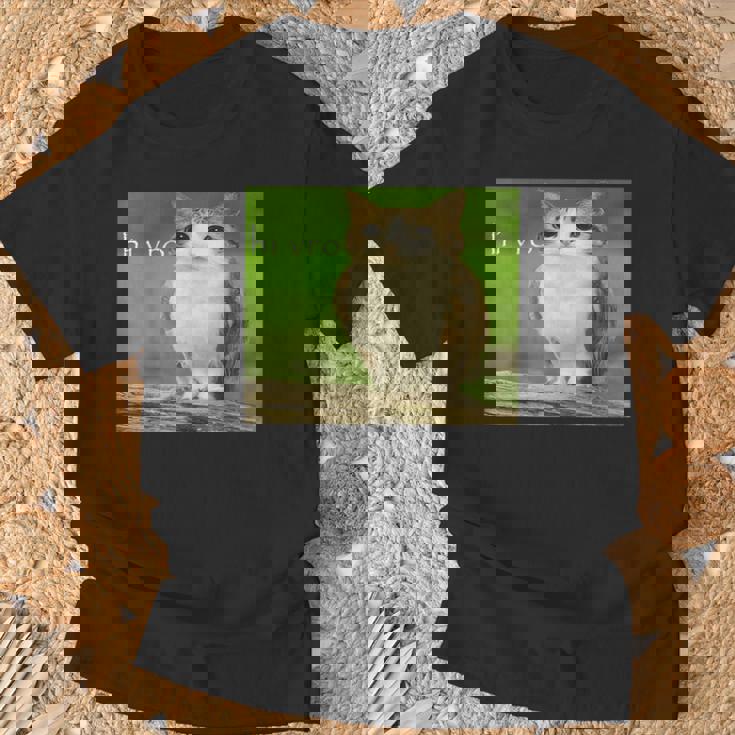 猫 フクロウ 面白い 呪われた Hello Bro Brainrot Meowl Hiro Meme Tシャツ 高齢者への贈り物