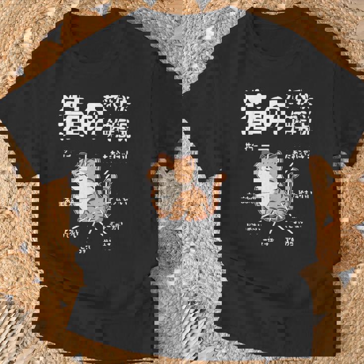 猫のなでかた解説 おもしろ 猫好き アイデア ギフト サプライズ にゃんこ おもしろ Tシャツ 高齢者への贈り物