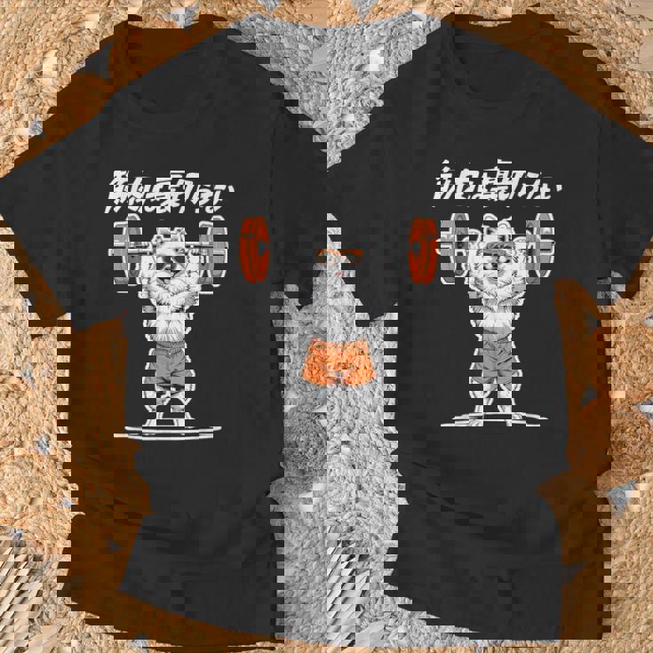 筋肉は裏切らない ポメラニアン グッズ 犬 おもしろ 面白い ネタ 筋トレ Tシャツ 高齢者への贈り物