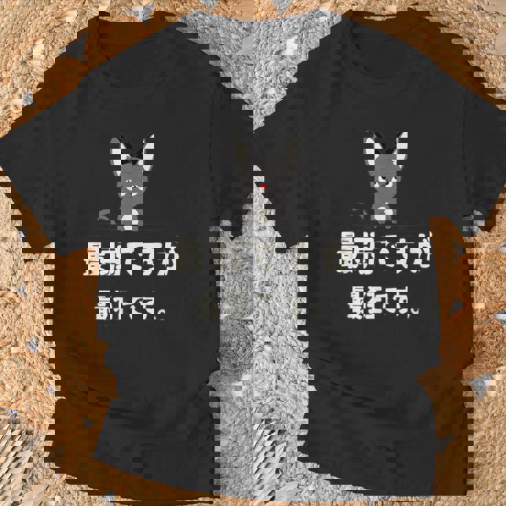 面白い 猫 文字入り 「最弱ですが最狂です。」おもしろギャグ-ジョーク 漢字 最弱ですが最狂です。 Tシャツ 高齢者への贈り物