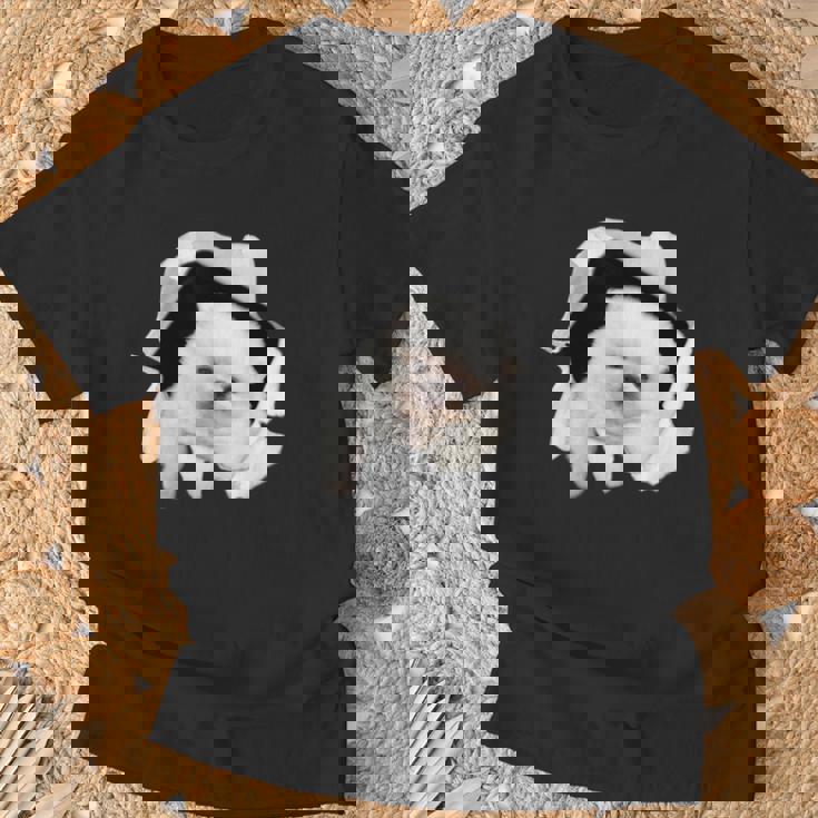 面白いtシャツ 犬 ポメラニアン イヌ わんこ メンズ 犬好き グッズ かわいい おもしろ 面白い 服 ネタ Tシャツ 高齢者への贈り物